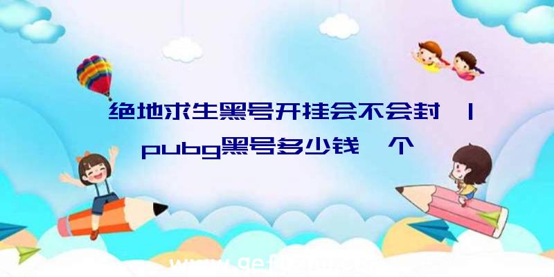 「绝地求生黑号开挂会不会封」|pubg黑号多少钱一个